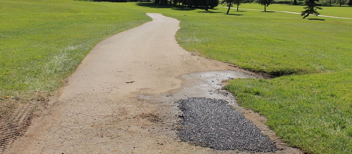 EZ Street bag next to wet pothole on golf course